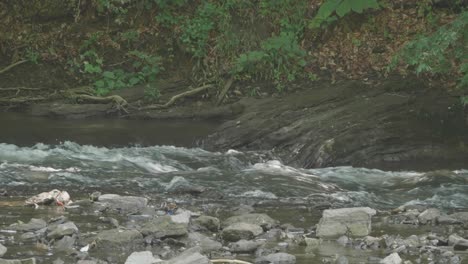 The-Wissahickon-Creek,-creek-passing-by-large-stones