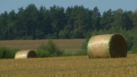 Straw-rolls-in-a-large-meadow