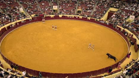 Team-of-forcados-provoke-a-bull-to-charge-them-during-bullfight-in-Lisbon,-Portugal