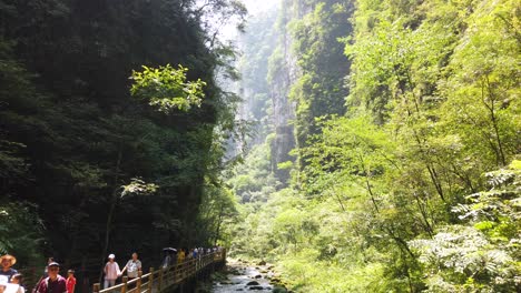 Zhangjiajie,-China---August-2019:-Touristen-Wandern-Auf-Dem-Malerischen-Weg-Entlang-Des-Schmalen-Flusses,-Der-Durch-Den-Majestätischen-Grand-Canyon-Im-Zhangjiajie-Nationalpark-Fließt