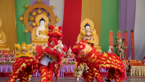 Lion-dance-buddha-birthday-festival,brisbane-2018-Lion-Dance-Show-In-Chinese-New-Year-Festival