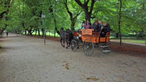 Menschen,-Die-Im-öffentlichen-Park-Mit-Einer-Pferdekutsche-Fahren