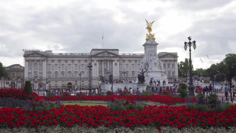Red-flowers-in-front-of-Buckingham-Palace-in-London,-people-walking-around,-wide-angle-static-shot