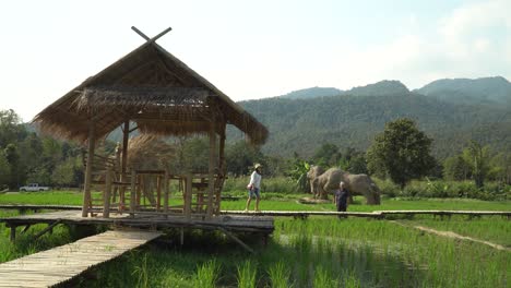 Tourist-in-beautiful-thailand-at-the-Straw-sculptures-park-in-Chiang-Mai,-Thailand