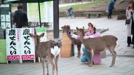 Beautiful-Young-Asian-Girl-Taking-A-Selfie-With-A-Cute-Deer-In-Nara-Public-Park