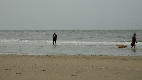 Wide-shot-of-tourists-with-dog-walking-along-seashore-of-Texel-island-during-cloudy-day