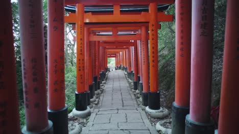 Caminando-A-Través-De-Las-Puertas-Tori-En-El-Santuario-Fushimi-Inari-En-Kyoto,-Japón---Tiro-Pov---Amplio-Hiperlapso