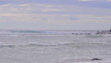 Surfista-Caminando-En-La-Playa-En-Crescent-Head---Lugar-De-Surf-En-Nueva-Gales-Del-Sur,-Australia---Primer-Plano