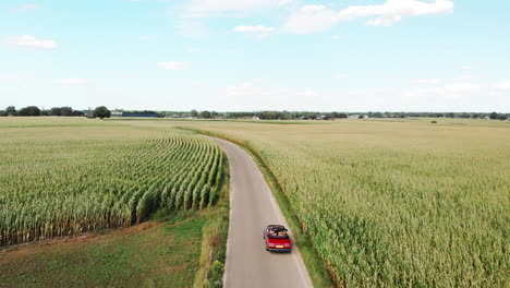 Man-Driving-The-Red-Convertible-Car-By-The-Corn-Fields-During-Summer-In-Zwolle,-Netherlands