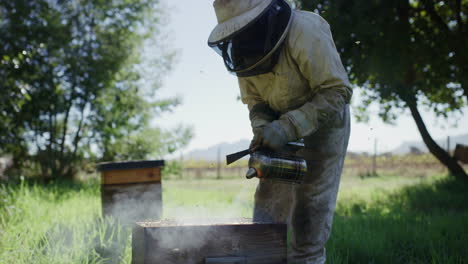 Die-Bienenhaltung-Ist-Gut-Für-Die-Umwelt