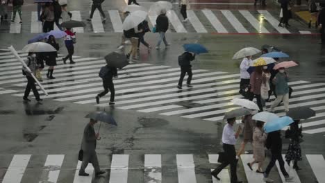 Regentagsszene-Am-Shibuya-Kreuzung---Menschen-Mit-Regenschirmen-überqueren-In-Zeitlupe---Nahaufnahme