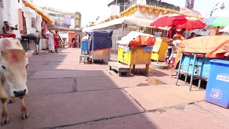 Small-vendors-remain-closed-due-to-less-crowd-of-Pilgrims-during-covid-19-crisis-at-Baidyanath-Dham-temple-in-Deoghar,-Jharkhand