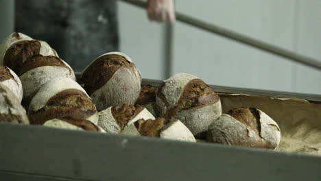 Bakery---Baker-Transferring-The-Freshly-Baked-Sourdough-Bread-From-The-Oven