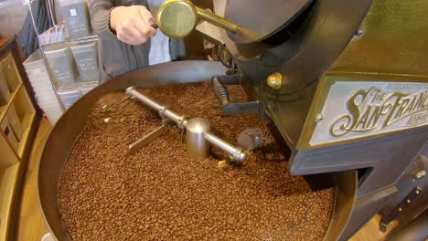 Top-view-of-female-empties-bin-of-green-coffee-beans-into-roaster-while-dark-roast-beans-are-cooling-in-the-tray