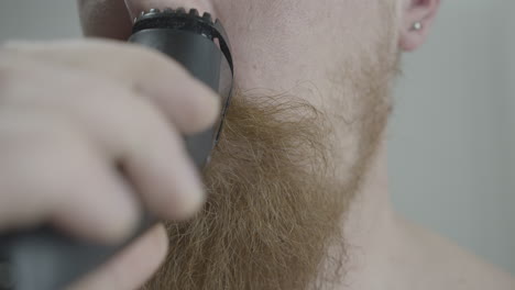 Man-with-a-long-beard-shaves-his-mustache-with-an-electric-razor
