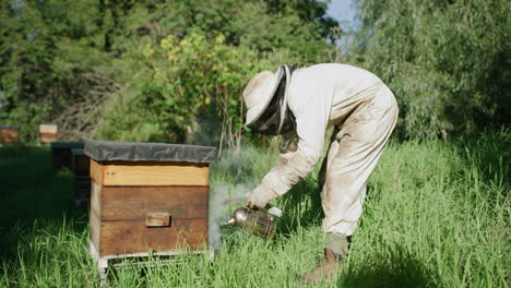 an-unrecognizable-male-beekeeper-working