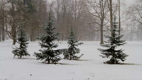 In-Einem-Stadtpark-Fällt-Starker-Schnee