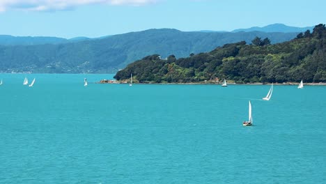 Wellington,-Neuseeland