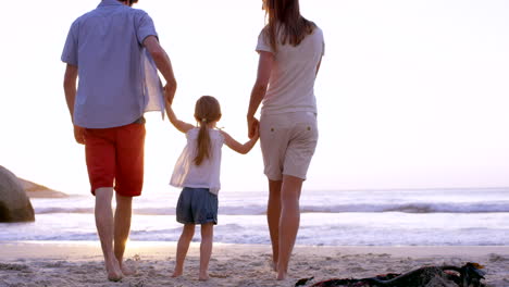 Family,-travel-and-holding-hands-at-a-beach-by