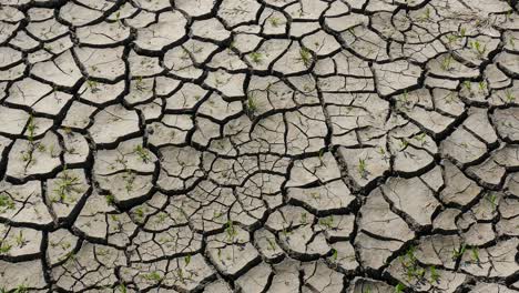 Hot-summer.-It's-getting-dry.-The-earth-cracked