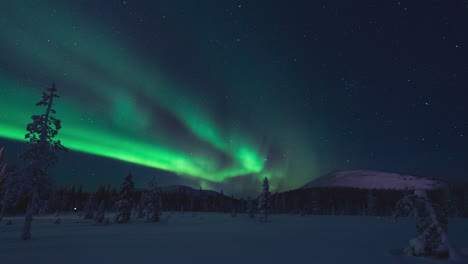 Real-timelapse-of-northern-lights-or-aurora-borealis-dancing-in-the-nightsky-over-a-winter-landscape-with-snowy-trees-and-fell-mountains-in-Lapland-Finland