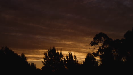 Zeitraffer-Eines-Goldenen-Sonnenuntergangs-Durch-Bäume,-Während-Wolken-Am-Himmel-Entlang-Ziehen