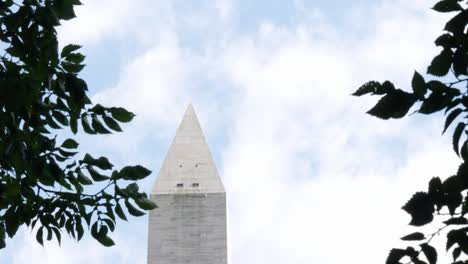 Tilt-down-close-up-of-the-Washington-Monument-through-some-trees-located-in-Washington-DC-in-the-USA