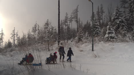 People-sled-and-walk-past-each-other-on-snowy-Tatranska-Lomnica-path