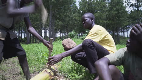 Kinder-Aus-Einem-Ugandischen-Dorf-Bauen-Ein-Traditionelles-Boot,-Indem-Sie-Stöcke-Durch-Bananenstämme-Schlagen