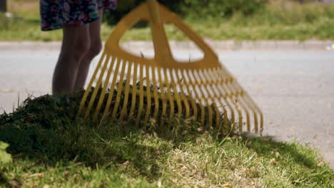 Woman-Using-Rake-To-Clean-Trimmed-Grass-During-Summer-Sunny-Day---Seasonal-Clean-Up-Of-Garden-Outdoor---high-angle-shot