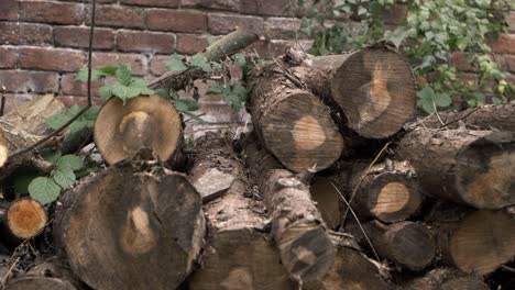 Holzhaufen-Gefällter-Bäume-Gegen-Ziegelwand,-Mittlere-Kippaufnahme