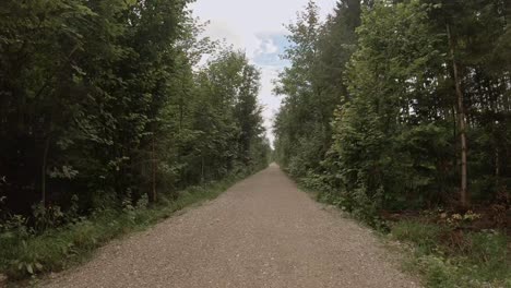 Fahrradfahrt-Durch-Einen-Grünen-Wald-Mit-Hohen-Bäumen-Und-Bewölktem,-Blauem-Himmel
