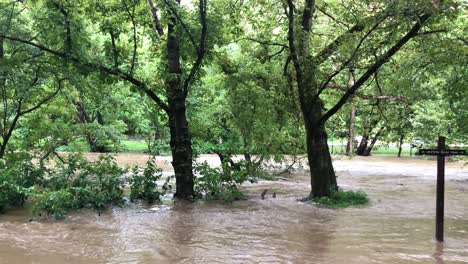 Eine-Durch-Starke-Regenfälle-Verursachte-Sturzflut-Führt-Dazu,-Dass-Ein-Baum-Am-Ufer-Des-Rock-Creek-Im-Rock-Creek-Park-In-Der-Nähe-Von-Pierce-Mill-Entwurzelt-Wird