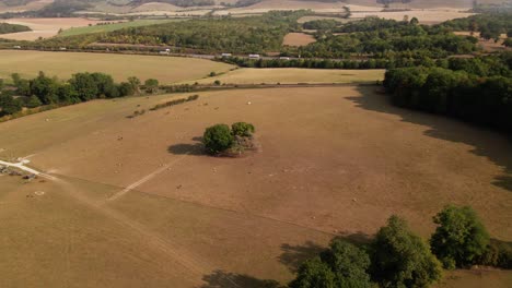 Vereinigtes-Königreich-Kent-Land-Drohnenaufnahmen,-Luftaufnahmen