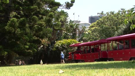 Small-train-with-tourists-in-the-Royal-Botanic-Garden,-Sydney,-Australia