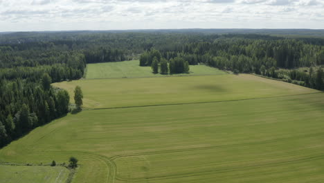 Grüne-Wiesen-Und-Felder-Umgeben-Von-Wald