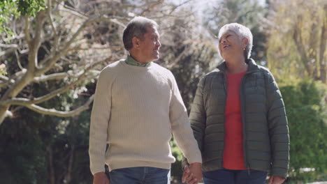 Glückliches-älteres-Paar,-Das-Den-Ruhestand-Im-Freien-Genießt