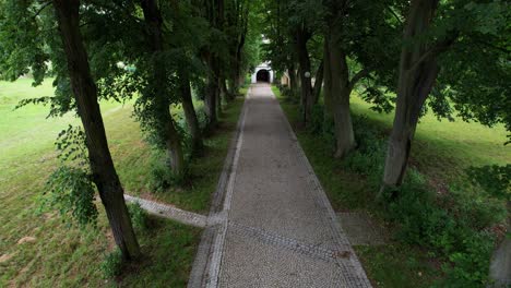 Slow-flight-of-tree-alleys-down-the-road-to-the-tunnel-in-summer-in-the-Czech-Republic