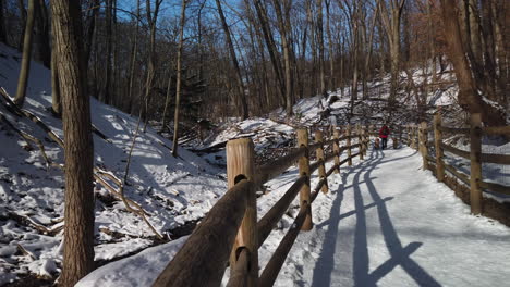 Wide-winter-vista-of-a-ravine,-meandering-trail-and-woman-walking-two-dogs