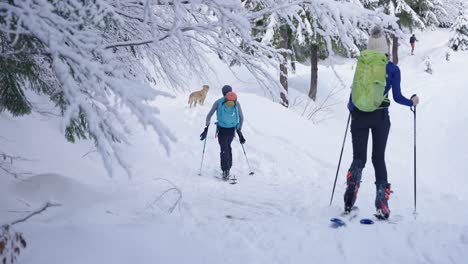 Couple-and-dog-walking-together-in-snow-forest-in-ski-gear