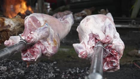 Lambs-roasting-on-spits-over-large-open-fire-of-hot-coals-at-Bulgarian-national-festival-of-Sheep-breeders,close-up-shot,handheld