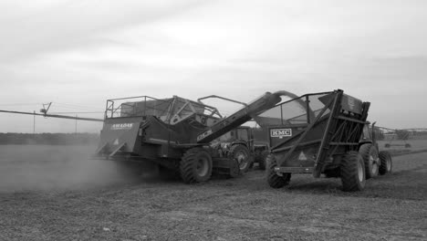 Olar,-South-Carolina---September-16,-2020:-A-harvester-harvesting-peanuts-in-a-large-field-in-South-Carolina-in-black-and-white