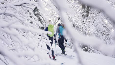 Dos-Esquiadores-En-Aventura-A-Través-Del-Bosque-De-Nieve-Encantado