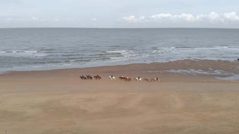 Aerial:-horse-riders-on-beach,-equestrian-riding-on-sand-with-sea-waves-behind