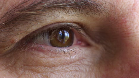 Nahaufnahme-Eines-Männlichen-Braunen-Auges-Mit-Bewegung