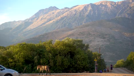 Typical-rural-scenery-with-donkey-walking-in-front-of-tall-mountains-and-tourists