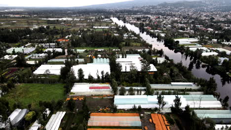 Drone-shot-of-greenhouses-in-Xochimilco-mexico-city-with-cempasuchil-flower