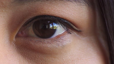 Nahaufnahme-Eines-Braunen-Auges,-Das-Während-Einer-Vision-Blinzelt