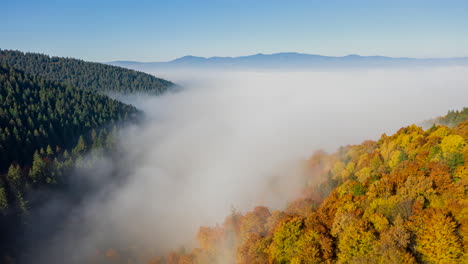Lufthyperlapse-Fliegt-über-Nebelbedeckten-Bergwald-In-Herbstfarbe