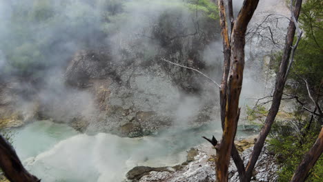 Heißes-Kochendes-Wasser-Eines-Natürlichen-Baches,-Der-Zwischen-Tropischen-Pflanzen-Im-Nationalpark-Waiotapu-Aufsteigt